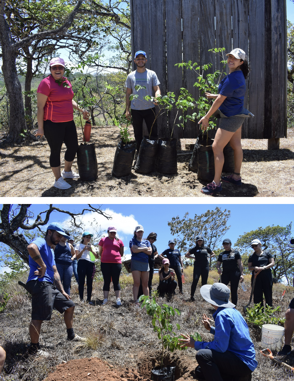 sostenibilidad-incae